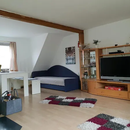 Neu! Harzfire Mit Kamin * Bad Harzburg