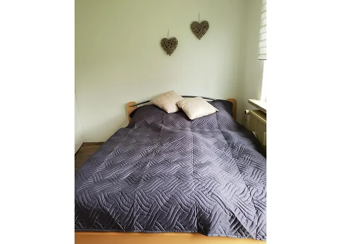 Neu! Harzfire Mit Kamin Апартаменты *